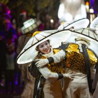 Féeries et Illuminations de Noël 2025