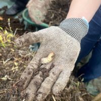Jardins Familiaux | Association Nature en partage | Atelier tous au Compost | CASGBS 2026