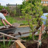 Jardins Familiaux | Association Nature en partage | Atelier tous au Compost | CASGBS 2026