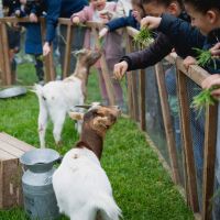 Chasse aux oeufs 2026 Carrières-sur-Seine