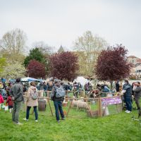 Chasse aux oeufs 2026 Carrières-sur-Seine