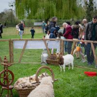 Chasse aux oeufs 2026 Carrières-sur-Seine
