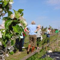 Jardins Familiaux | Association Nature en partage | Atelier tous au Compost | CASGBS 2026