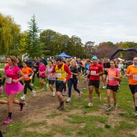 Furieuse Carrillonne 2026