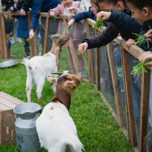 Chasse aux oeufs 2026 Carrières-sur-Seine