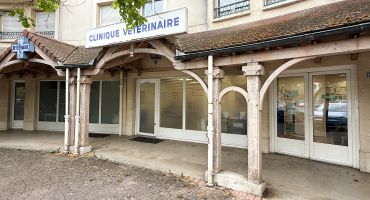 Clinique Vétérinaire des Impressionnistes