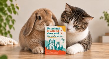 Document à télécharger ou à imprimer