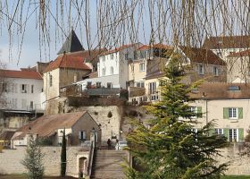 Panoramique arbre mairie 