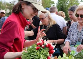 Fête salade nouvelle